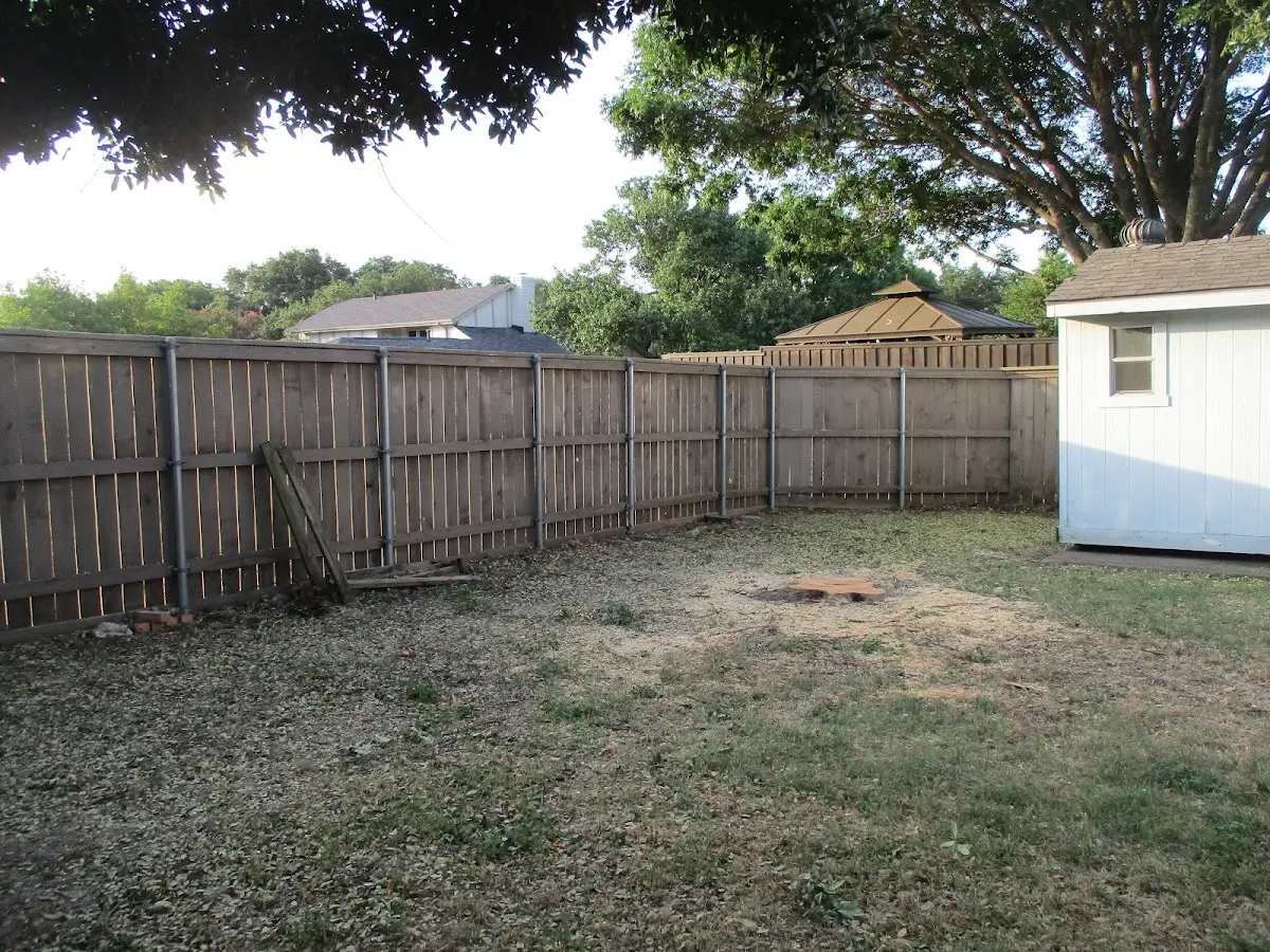 Cleared yard after professional tree removal in Teton Village